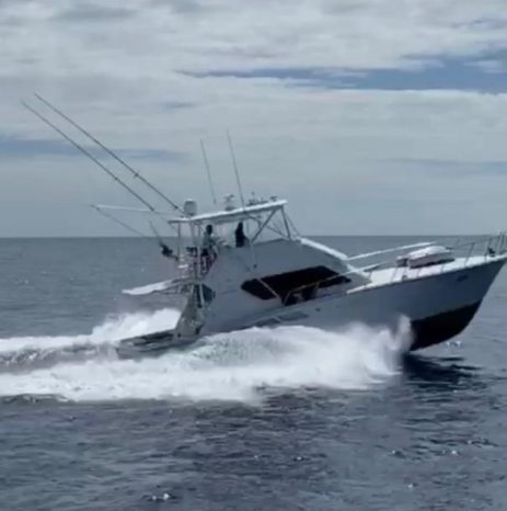 
								HATTERAS 50 full									