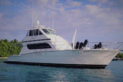 
										HATTERAS 58C CONVERTIBLE FLY BRIDGE full									