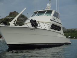 
										HATTERAS 58C CONVERTIBLE FLY BRIDGE full									