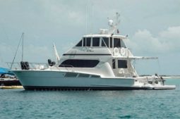 
										HATTERAS 58C CONVERTIBLE FLY BRIDGE full									