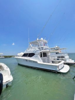 
										HATTERAS CONVERTIBLE 50 full									