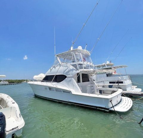 
								HATTERAS CONVERTIBLE 50 full									