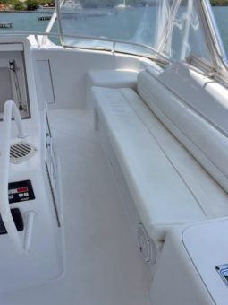 
										HATTERAS CONVERTIBLE 50 full									