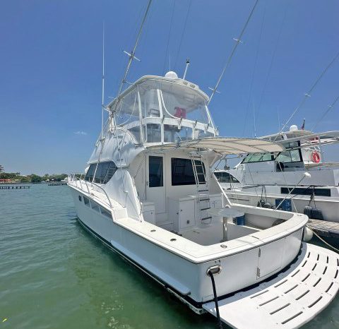 
								HATTERAS CONVERTIBLE 50 full									