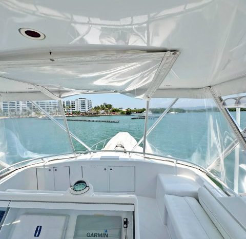 
								HATTERAS CONVERTIBLE 50 full									