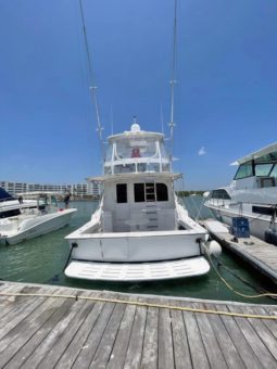 
										HATTERAS CONVERTIBLE 50 full									