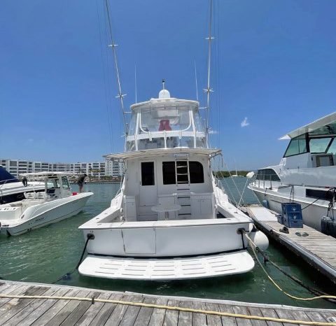 
								HATTERAS CONVERTIBLE 50 full									