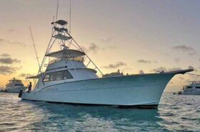 HATTERAS CONVERTIBLE 53