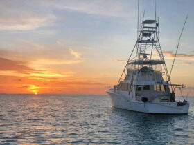 HATTERAS CONVERTIBLE 53