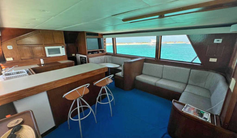 
								HATTERAS CONVERTIBLE 53 full									