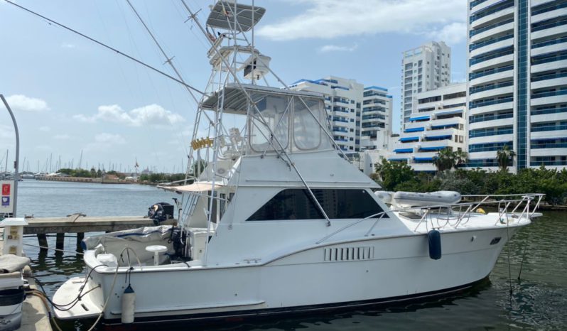 
								HATTERAS CONVERTIBLE SPORT FISHERMAN 42 full									