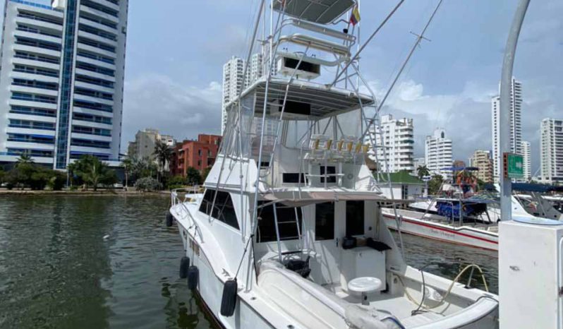 
								HATTERAS CONVERTIBLE SPORT FISHERMAN 42 full									