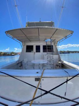 
										HATTERAS SPORT FISHERMAN 46 full									