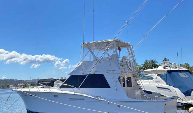 HATTERAS SPORT FISHERMAN 46, VENTA DE HATTERAS SPORT FISHERMAN 46, HATTERAS SPORT FISHERMAN 46 DE LECHERIA