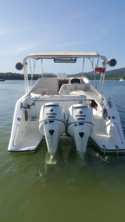 
										INTERMARINE AVANTI 35 full									