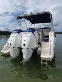 
										INTERMARINE AVANTI 35 full									