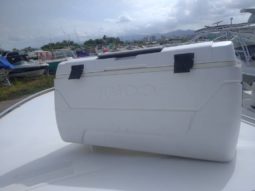 
										INTERMARINE AVANTI 35 full									