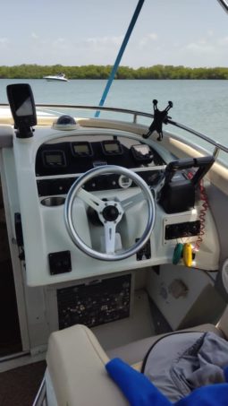 
										INTERMARINE AVANTI SPORT 35 full									