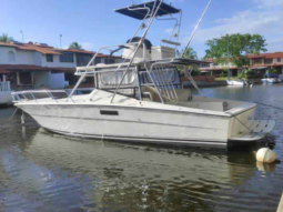 INTERMARINE M36 36, VENTA DE INTERMARINE M36 36, INTERMARINE M36 36 DE LECHERIA