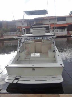 
										INTERMARINE M36 36 full									