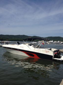 INTERMARINE TZ 35, VENTA DE INTERMARINE TZ 35, INTERMARINE TZ 35 DE HIGUEROTE