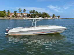 INTERMARINE Z 29, VENTA DE INTERMARINE Z 29, INTERMARINE Z 29 DE LECHERIA