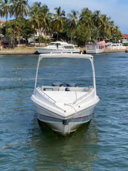 
										INTERMARINE Z 29 full									