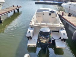 
										INTERMARINE Z24 24 full									