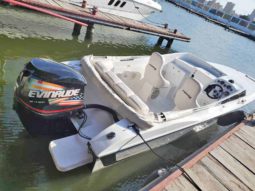 
										INTERMARINE Z24 24 full									