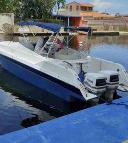 
										INTERMARINE Z33 full									