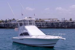 LUHRS 36, VENTA DE LUHRS 36, LUHRS 36 DE REPUBLICA DOMINICANA