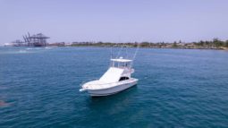 
										LUHRS 36 full									