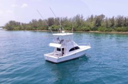 
										LUHRS 36 full									