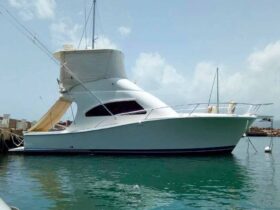 LUHRS 41