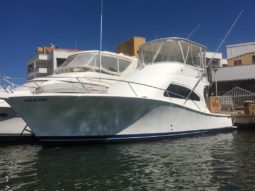 LUHRS 41, VENTA DE LUHRS 41,  LUHRS 41 DE LECHERIA