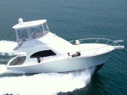 LUHRS 41, VENTA DE LUHRS 41, LUHRS 41 DE LECHERIA