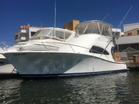 LUHRS 41