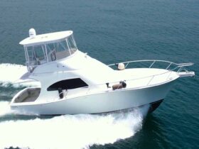 LUHRS 41