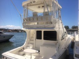 
										LUHRS 41 full									