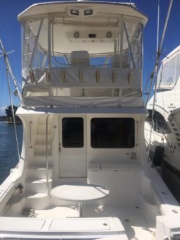 
										LUHRS 41 full									