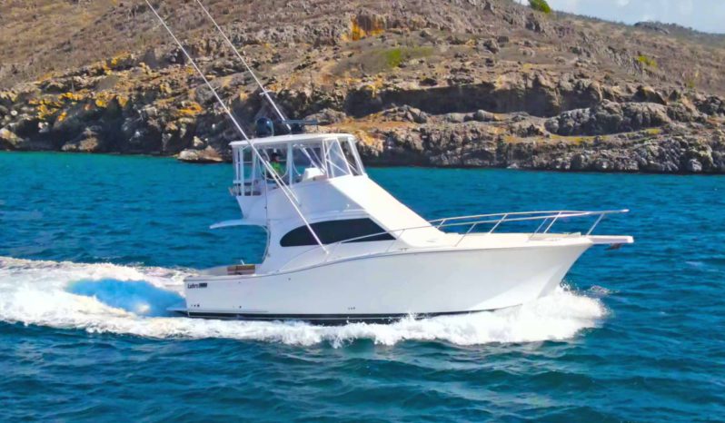 
								LUHRS CONVERTIBLE 35 full									