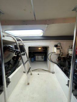 
										LUHRS CONVERTIBLE 35 full									