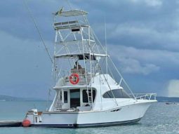 LUHRS CONVERTIBLE 380, VENTA DE LUHRS CONVERTIBLE 380, LUHRS CONVERTIBLE 380 DE LECHERIA