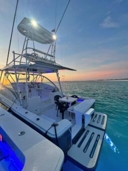 
										LUHRS OPEN 32 full									