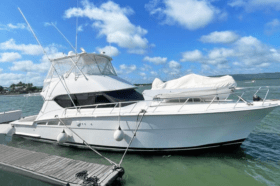 HATTERAS CONVERTIBLE 50