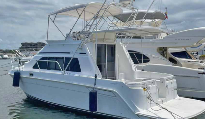 
								MAINSHIP SEDAN BRIDGE 31 full									