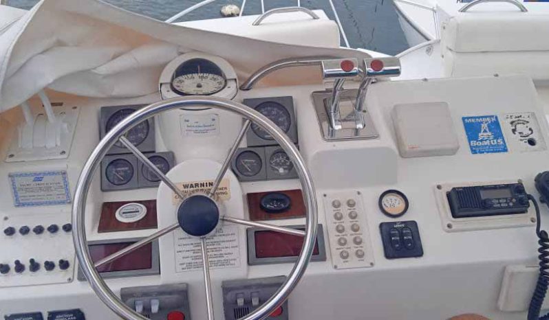 
								MAINSHIP SEDAN BRIDGE 31 full									