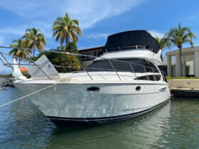 MERIDIAN YACHTS 391 SEDAN BRIDGE 39