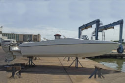 
										MERLIN 25 full									