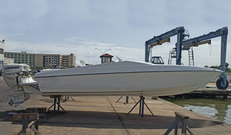 
								MERLIN 25 full									